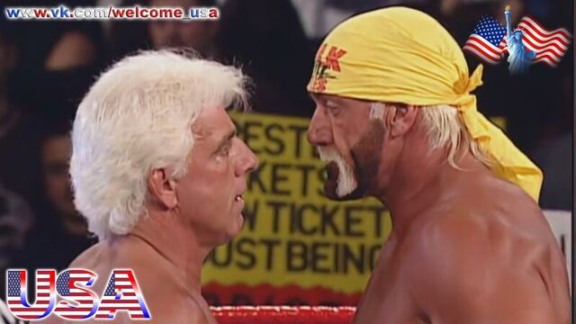 Hulk Hogan Sex Video Porn